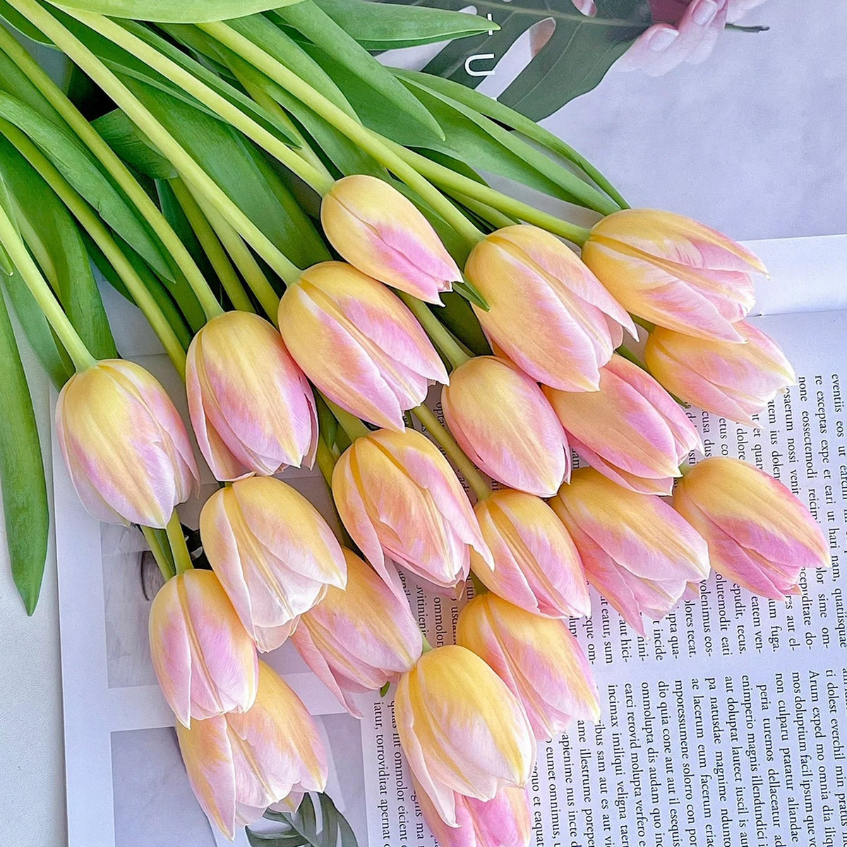 💥Spring NEW🌷Tulips 'first love'seeds