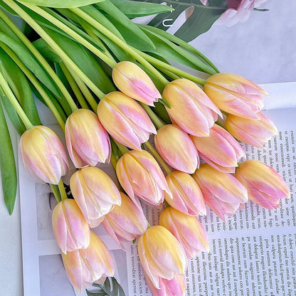 💥Spring NEW🌷Tulips 'first love'seeds