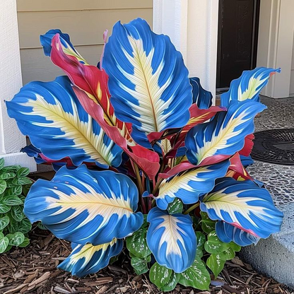 💚 ✨Premium Giant Tall Hosta Bulbs🔥Low-Maintenance, Shade-Loving & Comes Back Every Year