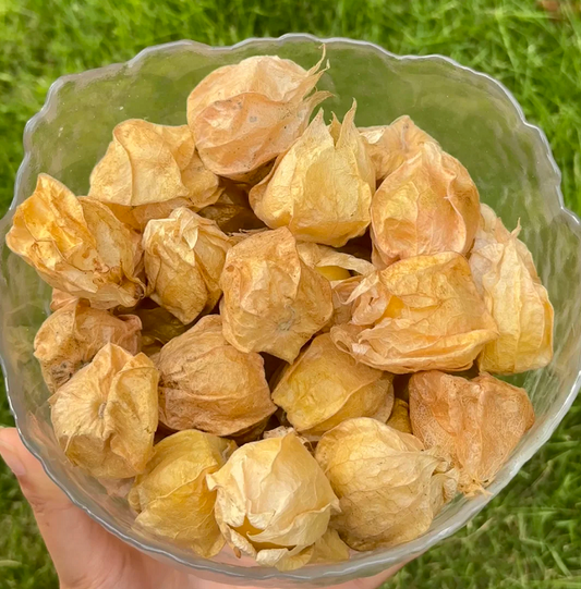 🍅 'Snacks' among fruits - 🤩Golden lantern fruit✨