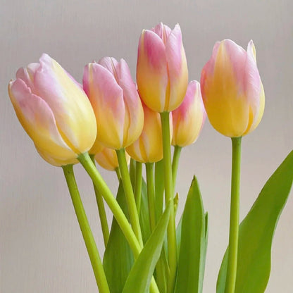 💥Spring NEW🌷Tulips 'first love'seeds