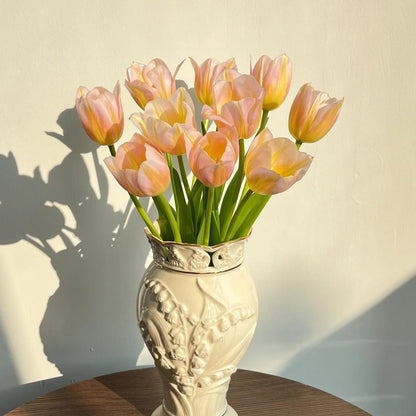💥Spring NEW🌷Tulips 'first love'seeds