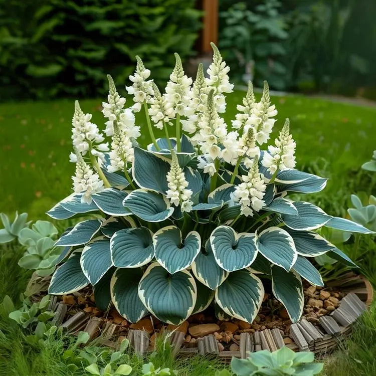 Nothing Grows in Shade? Watch This… 🌿 Turn Dead Corners Into a Lush Garden Paradise
