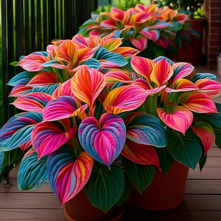 🔥Last day of clearance sale🔥Rare and premium quality hosta seeds🌿Shade-tolerant plant