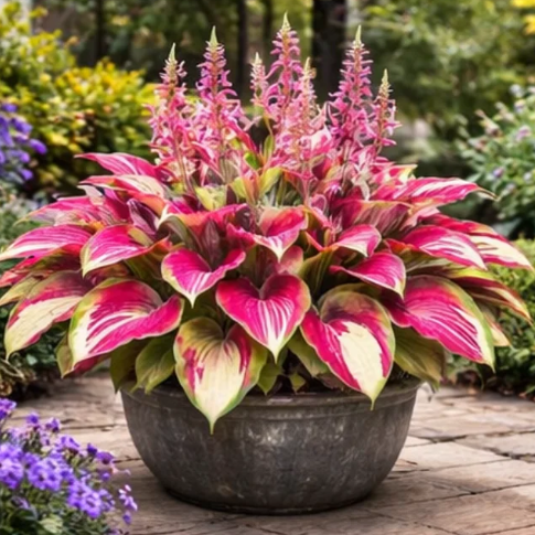 🌿 Hosta Bulbs: Big Beautiful Leaves, Almost Zero Effort