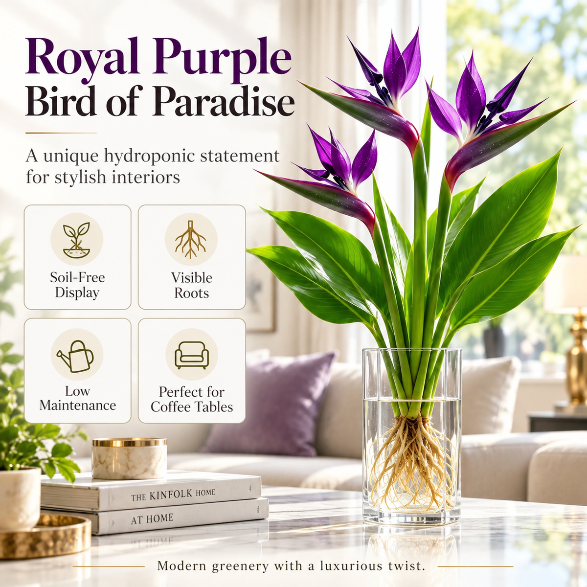 🕊️✨Hydroponic bird of paradise🌱🌸 A Little Bulb, A Beautiful Bloom — Nature’s Best Therapy!