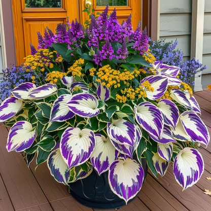 🔥Last day of clearance sale🔥Rare and premium quality hosta seeds🌿Shade-tolerant plant