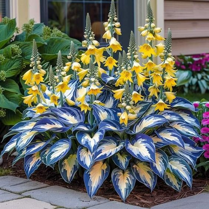 🔥Last day of clearance sale🔥Rare and premium quality hosta seeds🌿Shade-tolerant plant