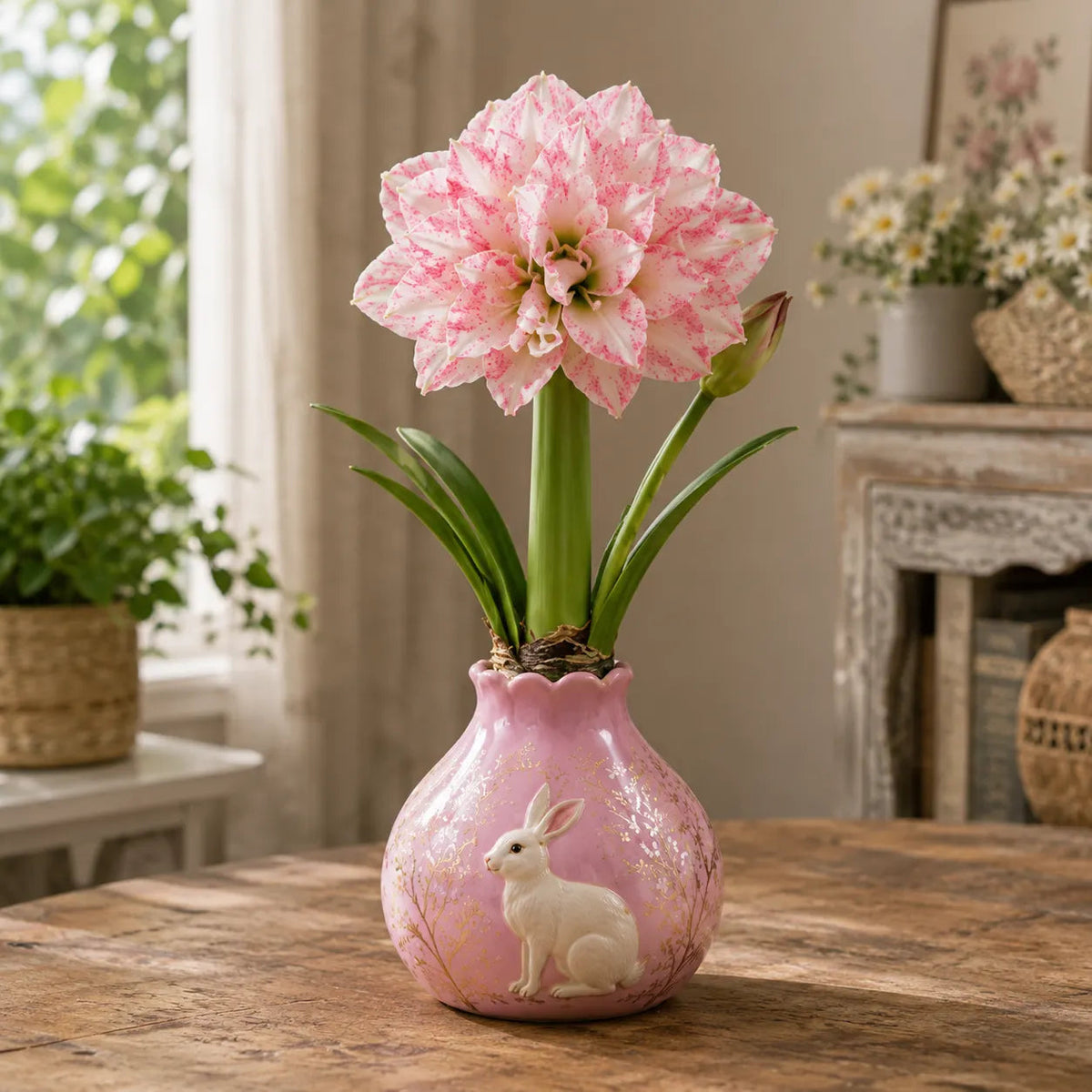 🔥 No Soil! No Water! Just Blooms! 🌺 Watch These Waxed Amaryllis Bulbs Come to Life!