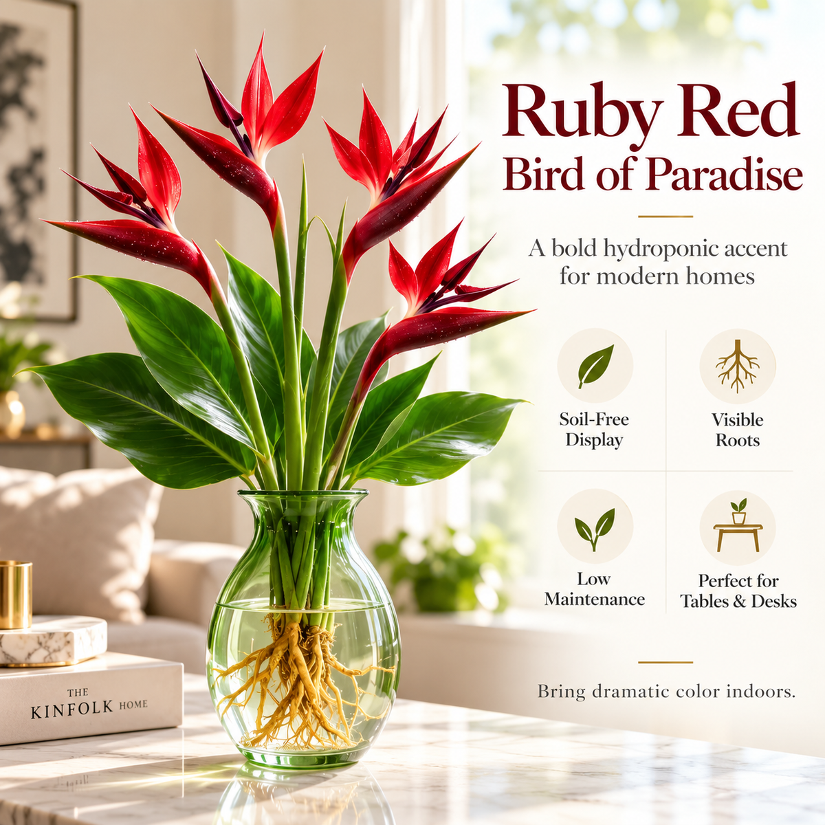 🕊️✨Hydroponic bird of paradise🌱🌸 A Little Bulb, A Beautiful Bloom — Nature’s Best Therapy!
