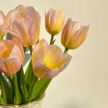 💥Spring NEW🌷Tulips 'first love'seeds