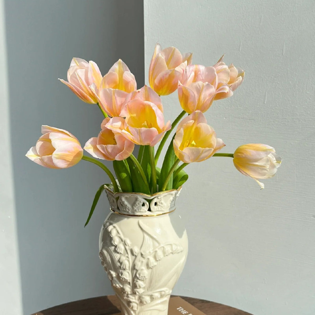 💥Spring NEW🌷Tulips 'first love'seeds