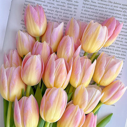 💥Spring NEW🌷Tulips 'first love'seeds
