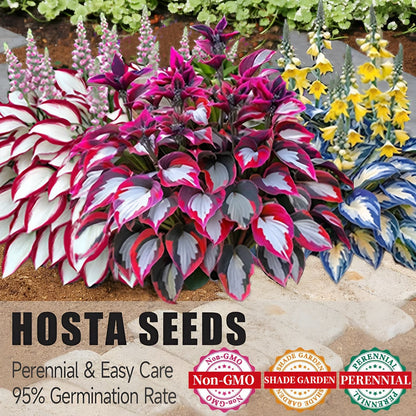 Nothing Grows in Shade? Watch This… 🌿 Turn Dead Corners Into a Lush Garden Paradise