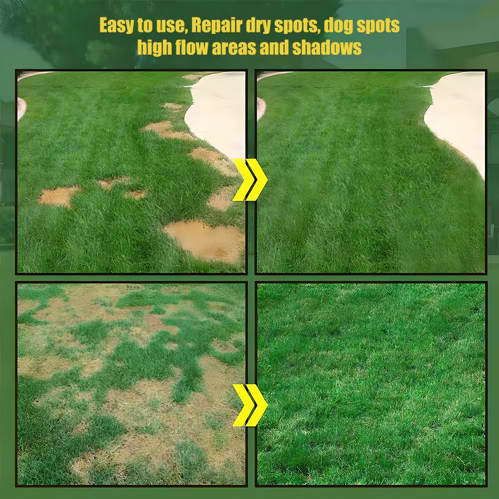 Fast-Growing Grass Seeds & Lawn Repair Blend