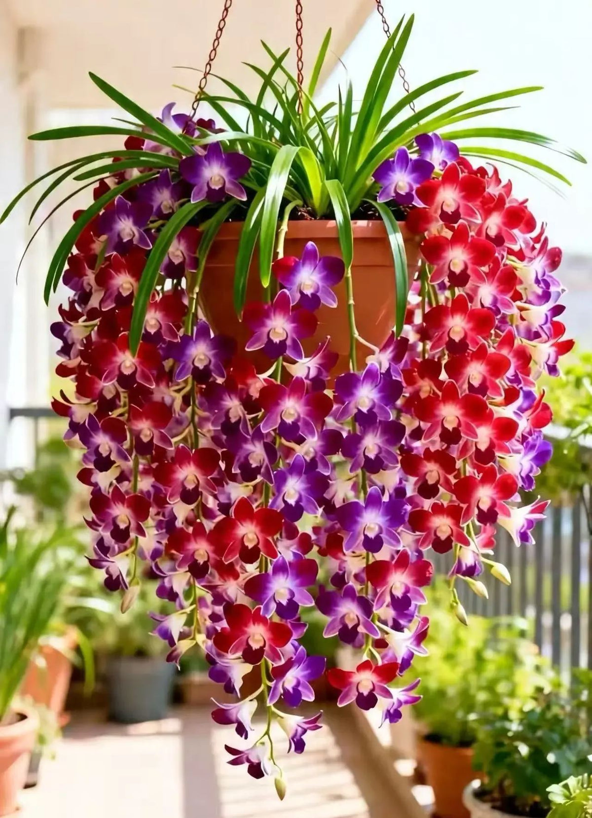🔥 DON’T MISS THIS! 🌸 Grow Stunning Dendrobium Orchids at Home & Enjoy Beautiful Blooms Year After Year! 💜