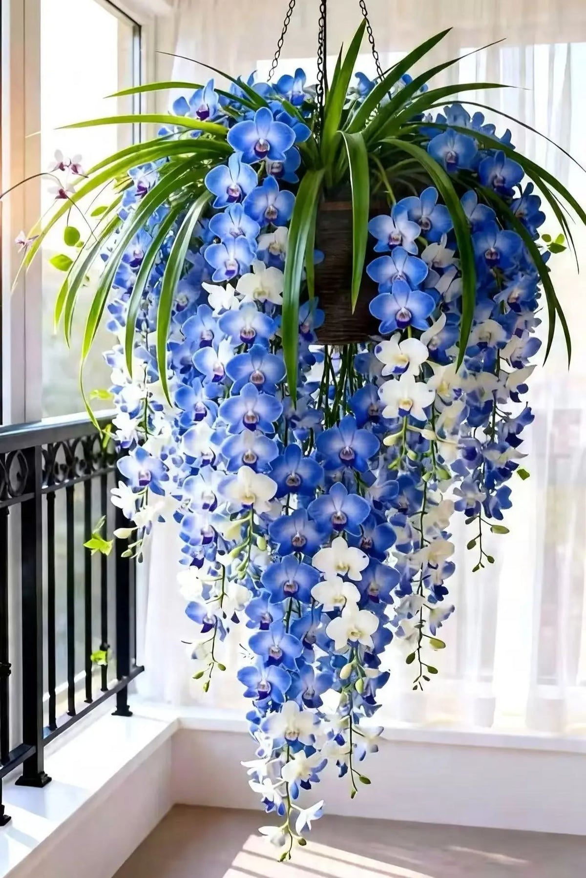 🔥 DON’T MISS THIS! 🌸 Grow Stunning Dendrobium Orchids at Home & Enjoy Beautiful Blooms Year After Year! 💜