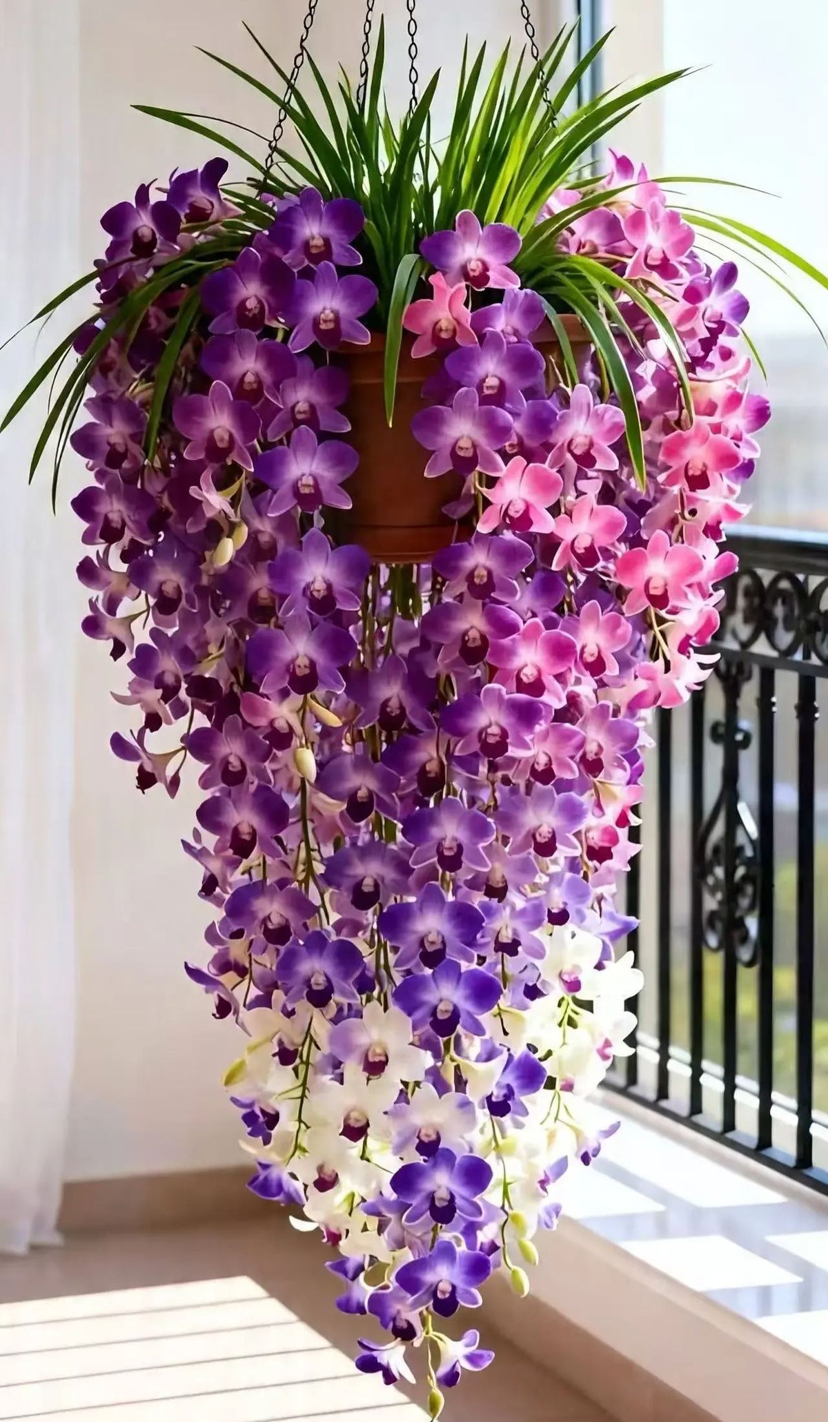 🔥 DON’T MISS THIS! 🌸 Grow Stunning Dendrobium Orchids at Home & Enjoy Beautiful Blooms Year After Year! 💜