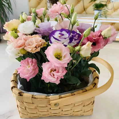 Eustoma / Lisianthus Grandiflorum Seeds - Thornless Rose-60% OFF